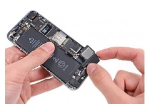 Замена нижнего динамика для iPhone 5S